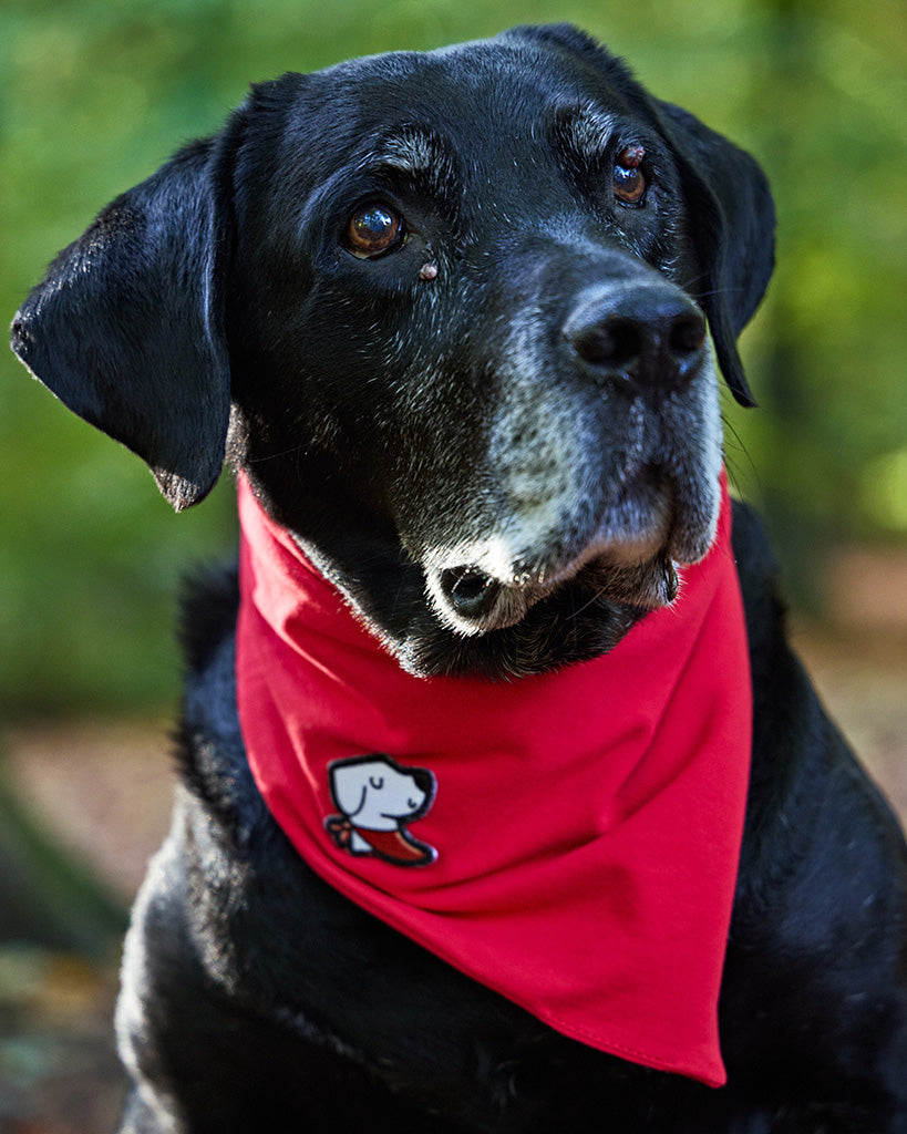 Bandana – Original Red