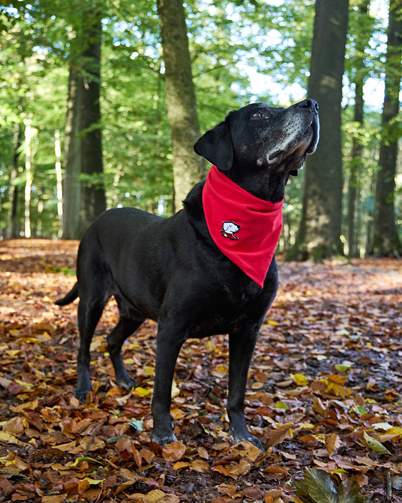 Bandana – Original Red