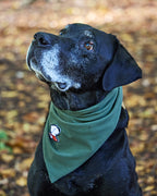 Bandana – Forest Green