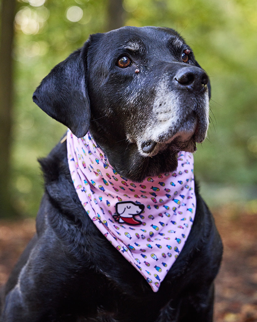 Bandana – Fishie