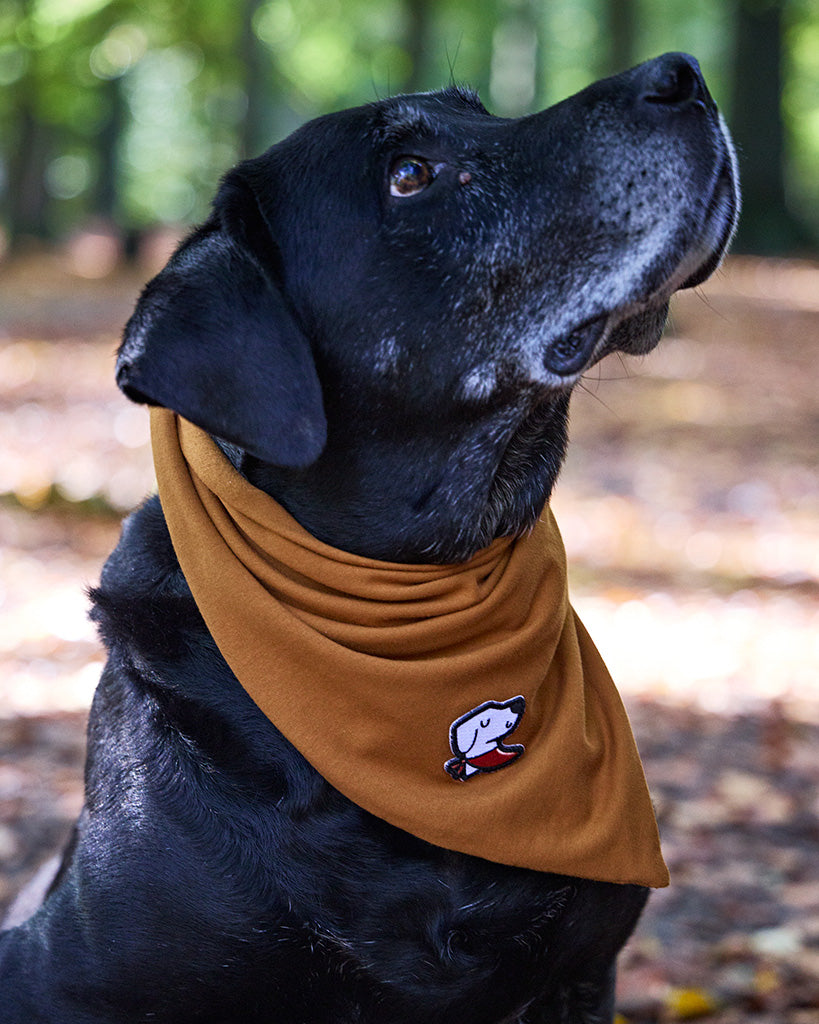 Bandana – Submarine Yellow