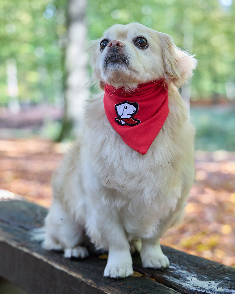 Bandana – Original Red