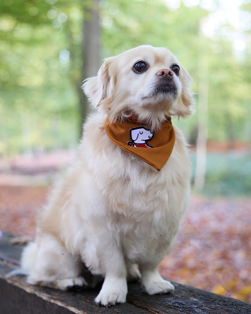 Bandana – Submarine Yellow