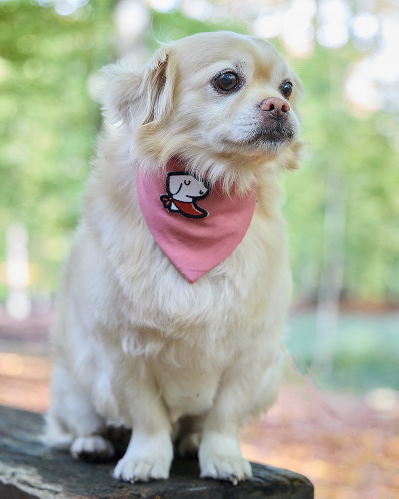 Bandana – Macho Pink