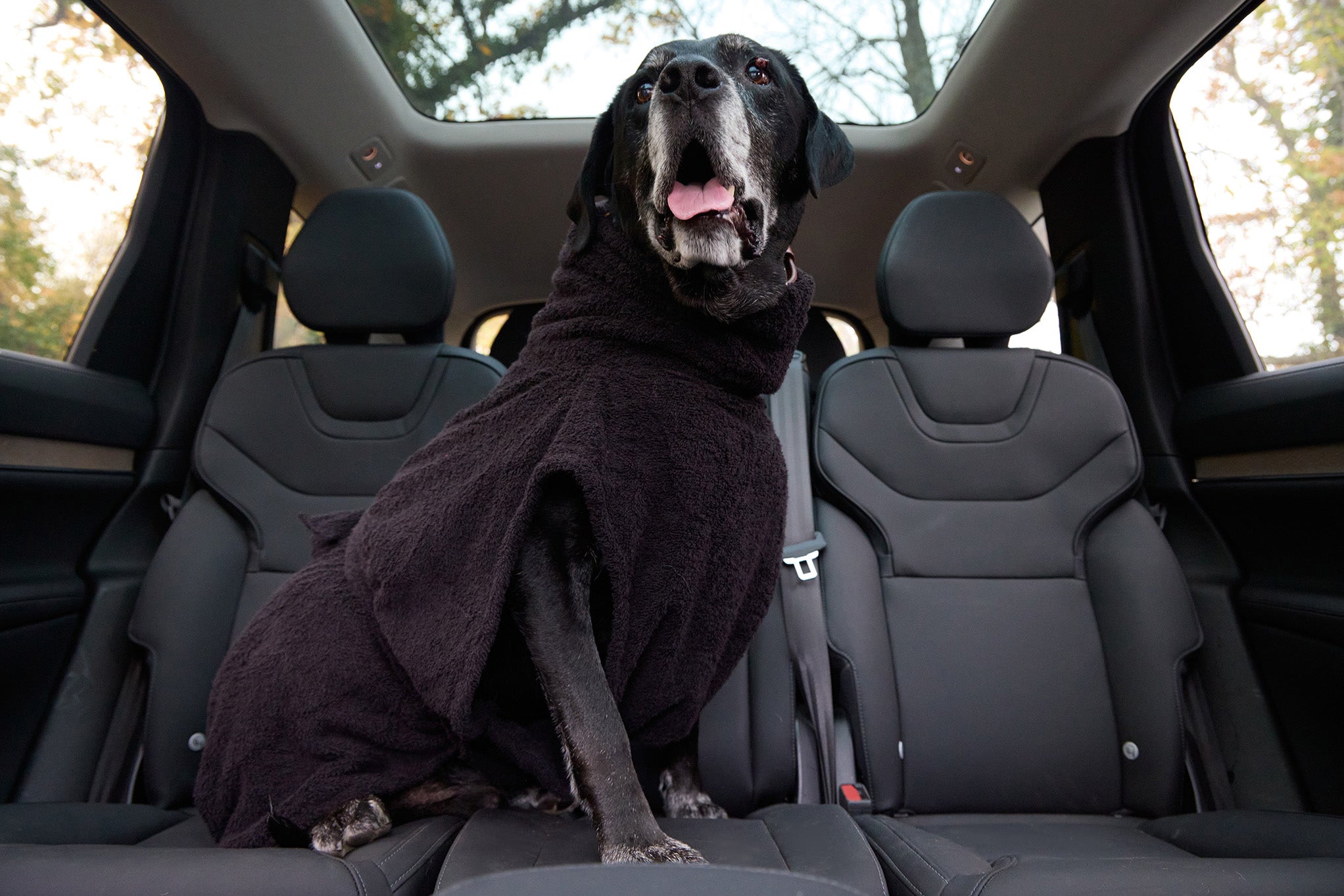 Badjas – Limited Black