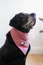 Bandana – Macho Pink