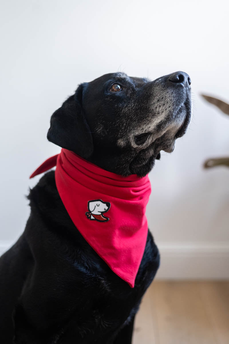 Bandana – Original Red