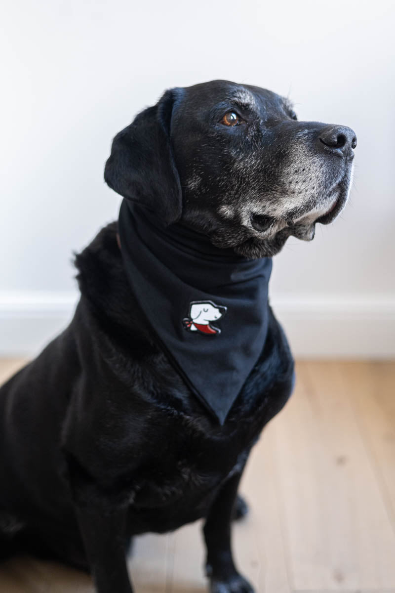 Bandana – Limited Black