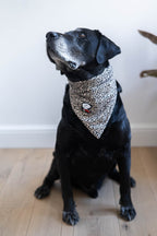 Bandana – Cougar