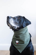 Bandana – Forest Green