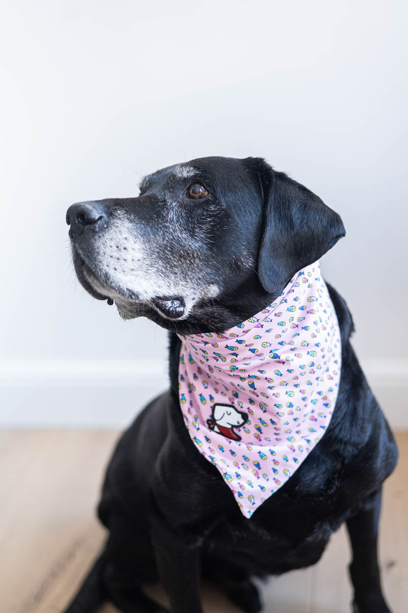 Bandana – Fishie