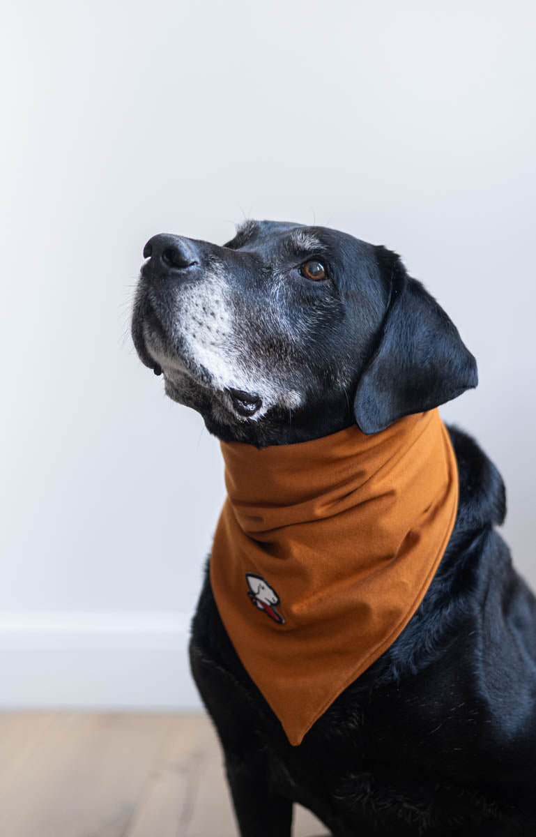 Bandana – Submarine Yellow