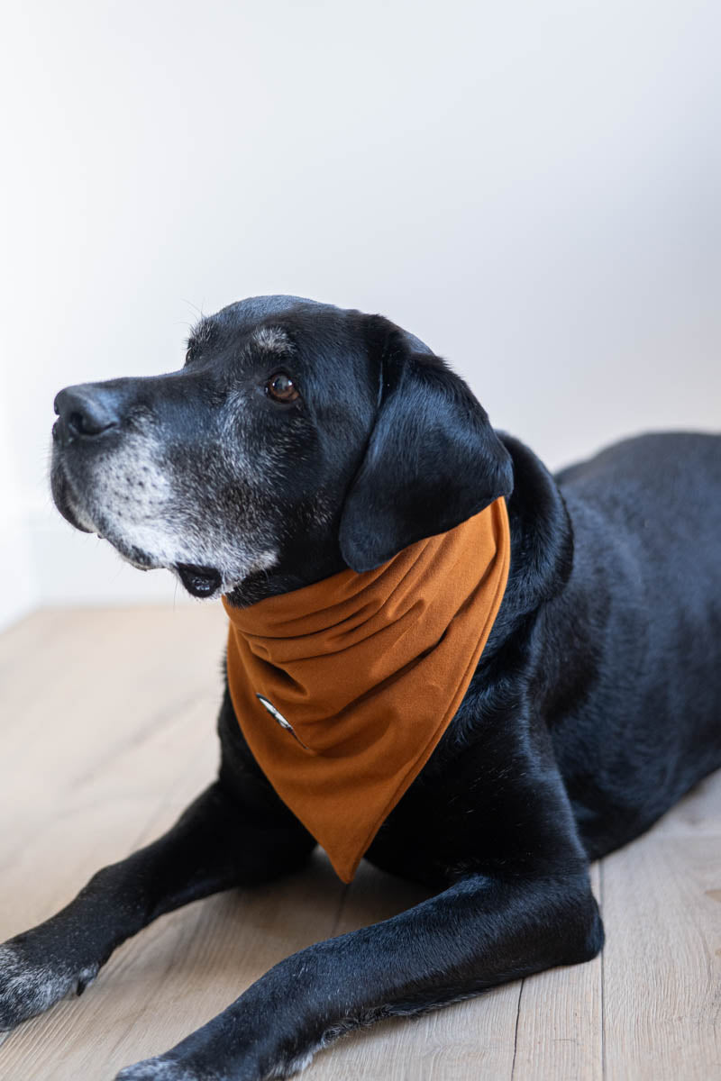 Bandana – Submarine Yellow