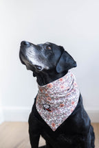 Bandana – Grannie