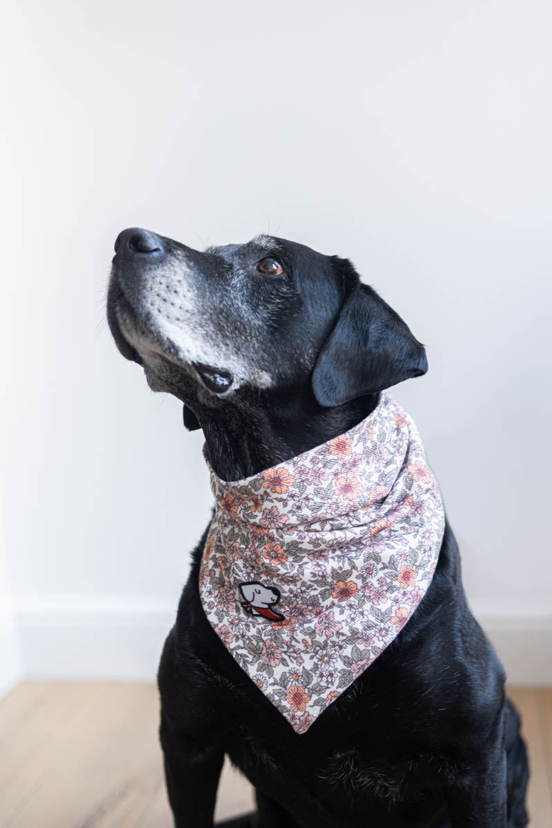 Bandana – Grannie
