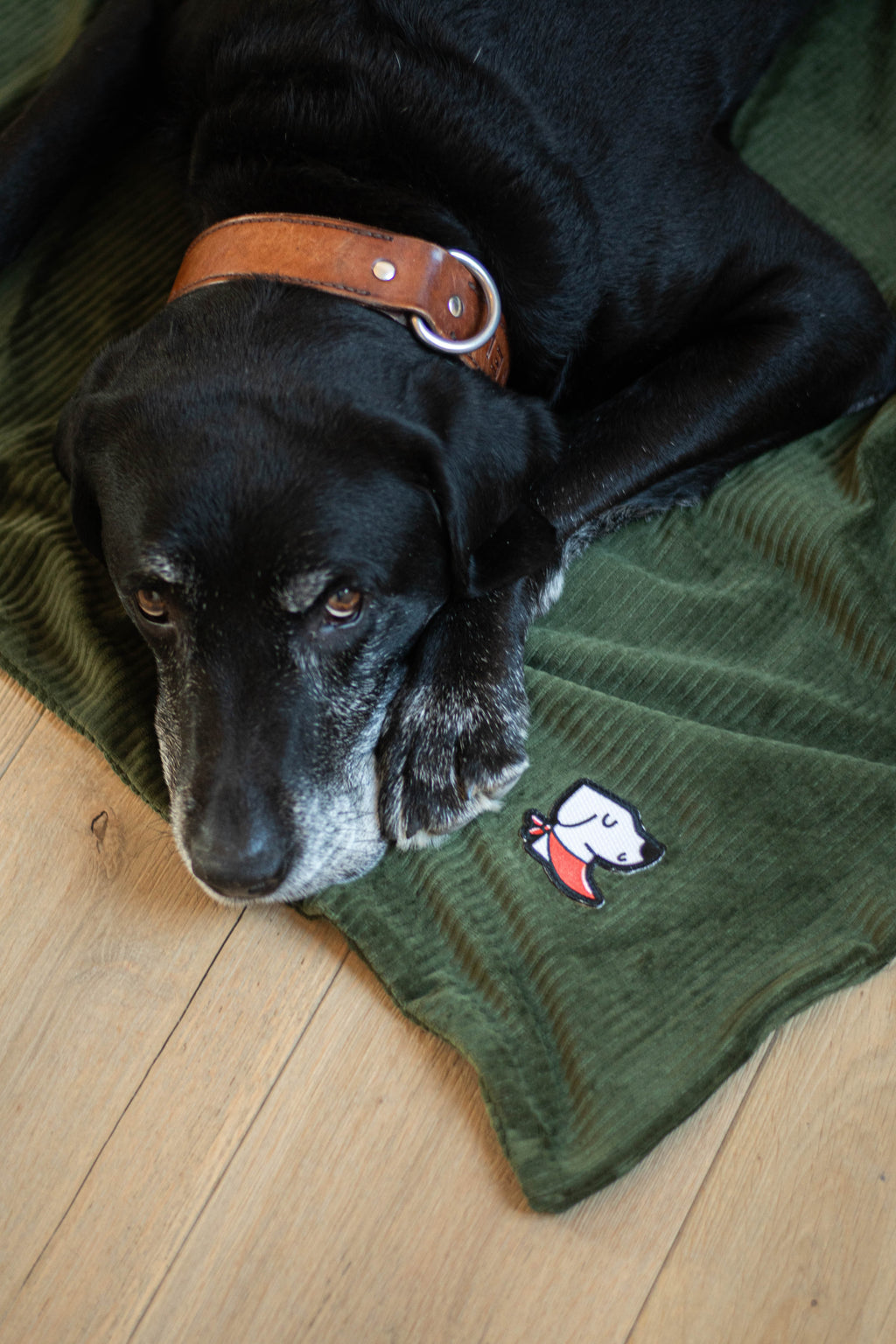 Duvette – Forest Green