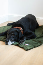 Duvette – Forest Green