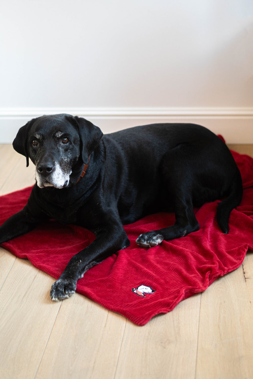 Duvette – Original Red