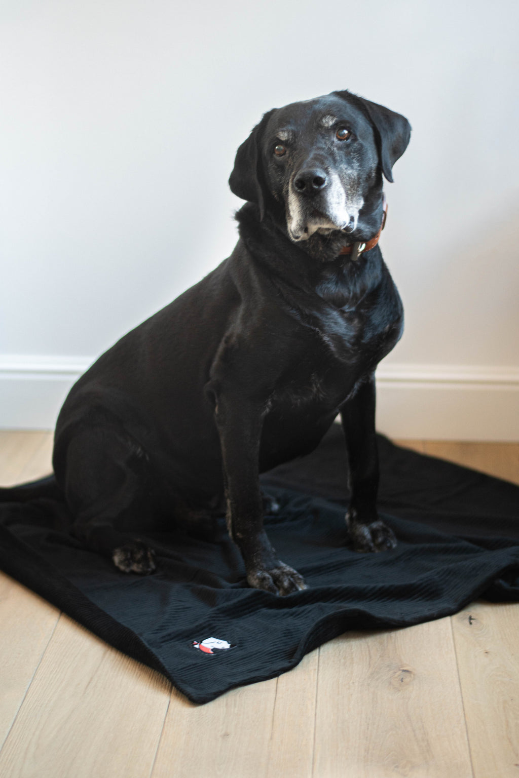 Duvette – Limited Black