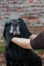 Honddoek – Limited Black