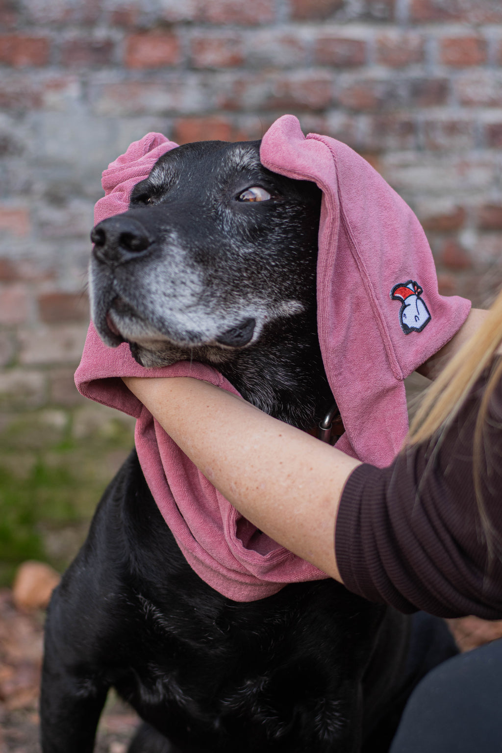 Honddoek – Macho Pink