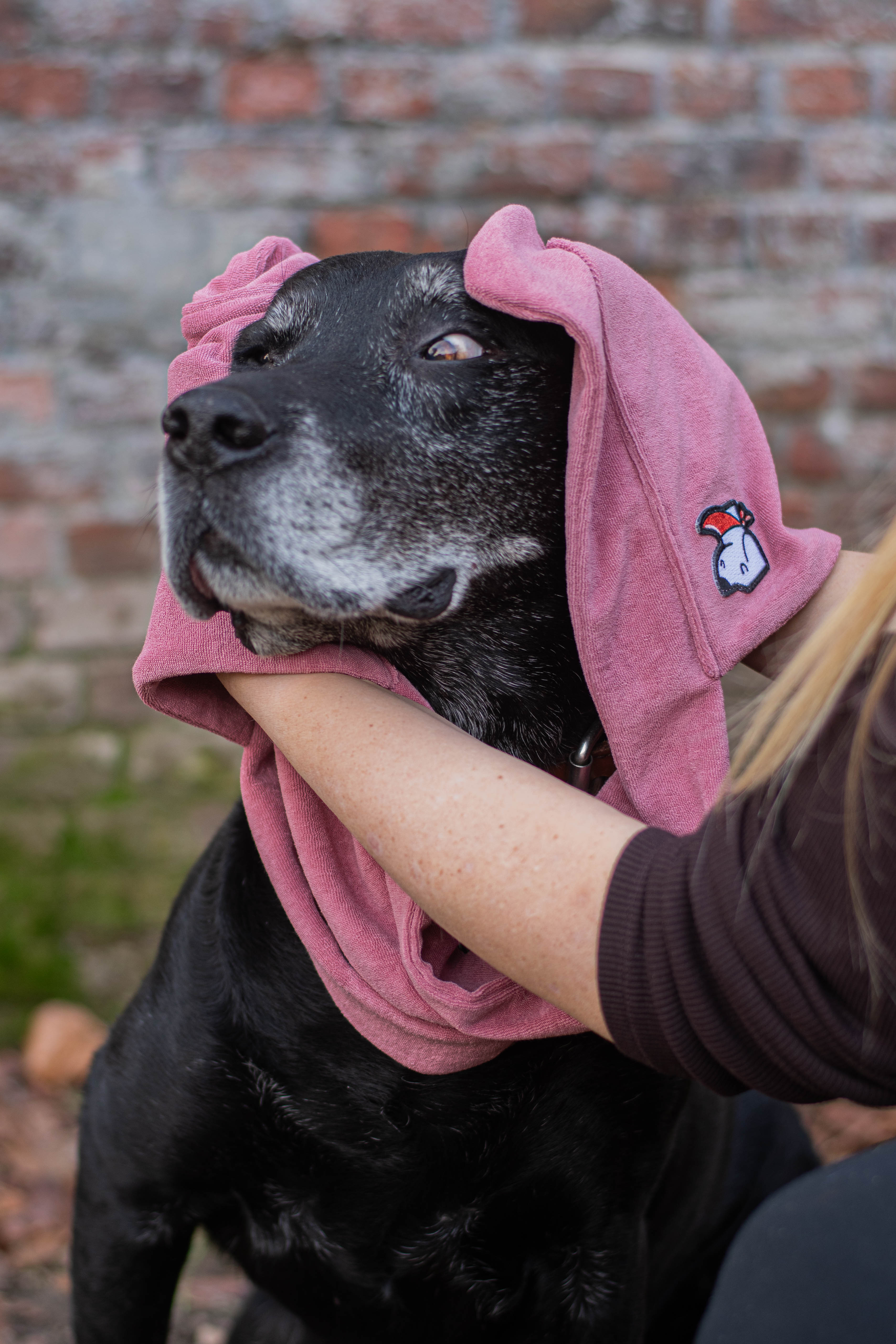 Honddoek – Macho Pink