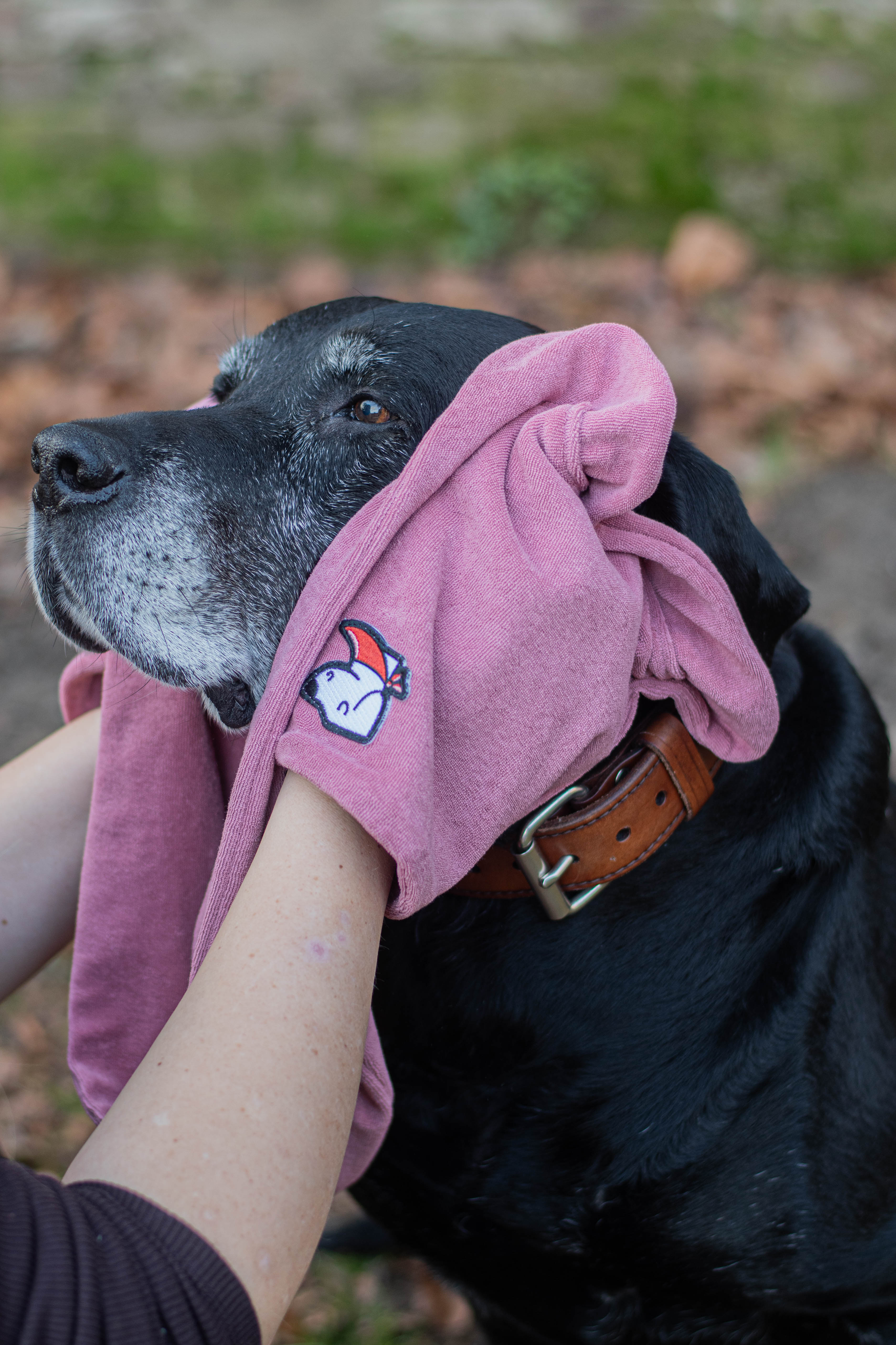 Honddoek – Macho Pink