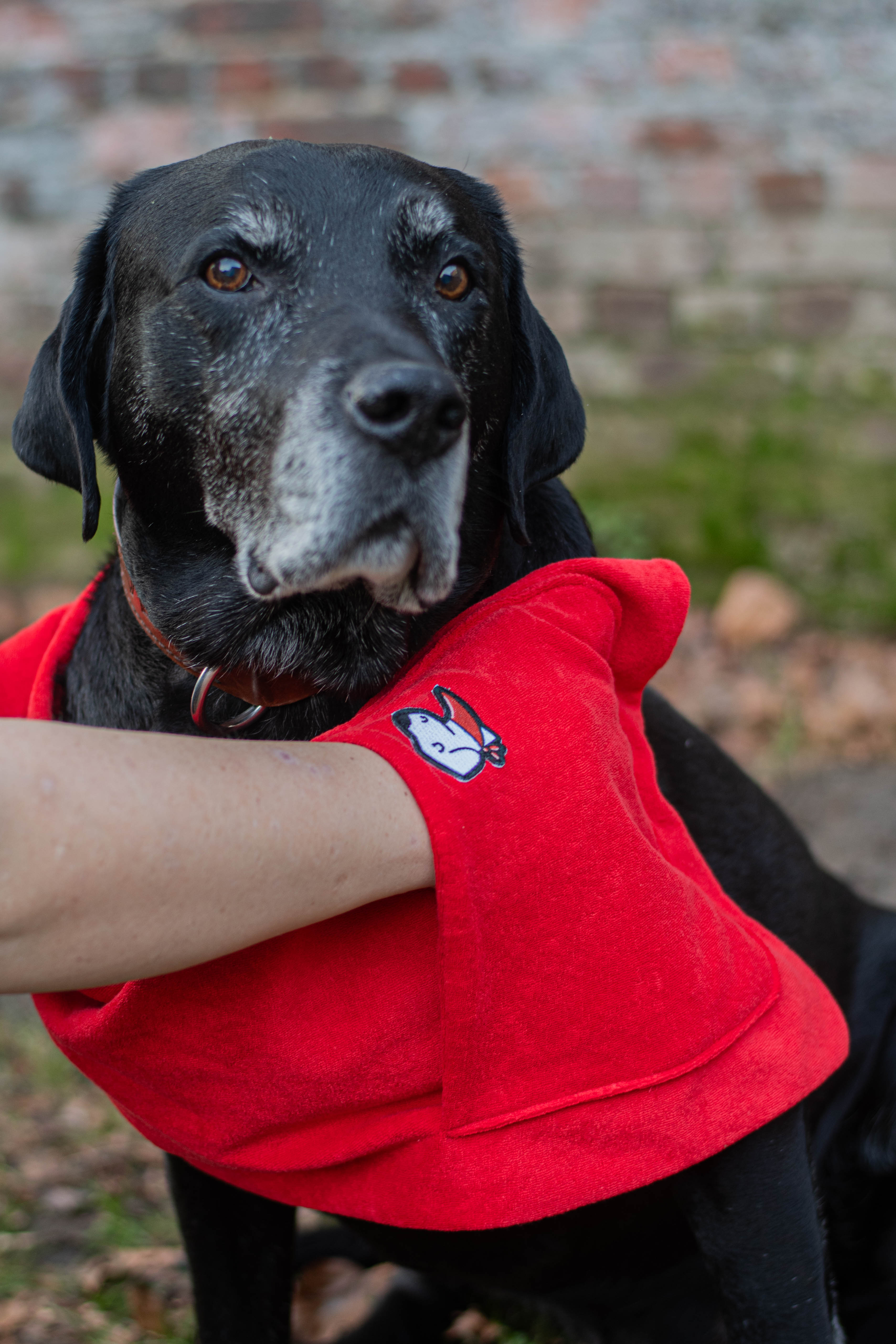 Honddoek – Original Red