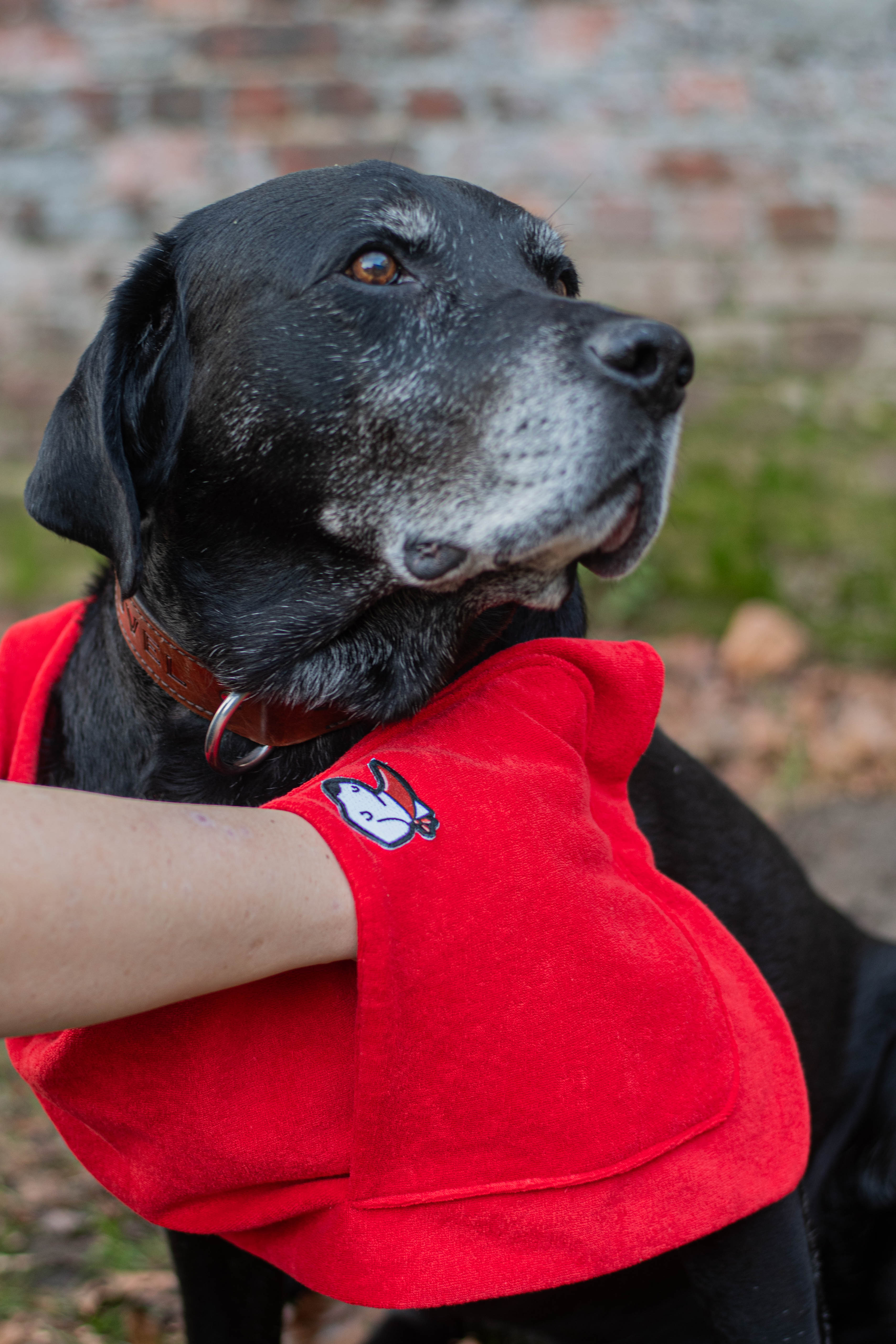 Honddoek – Original Red