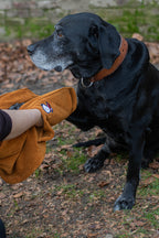 Honddoek – Submarine Yellow