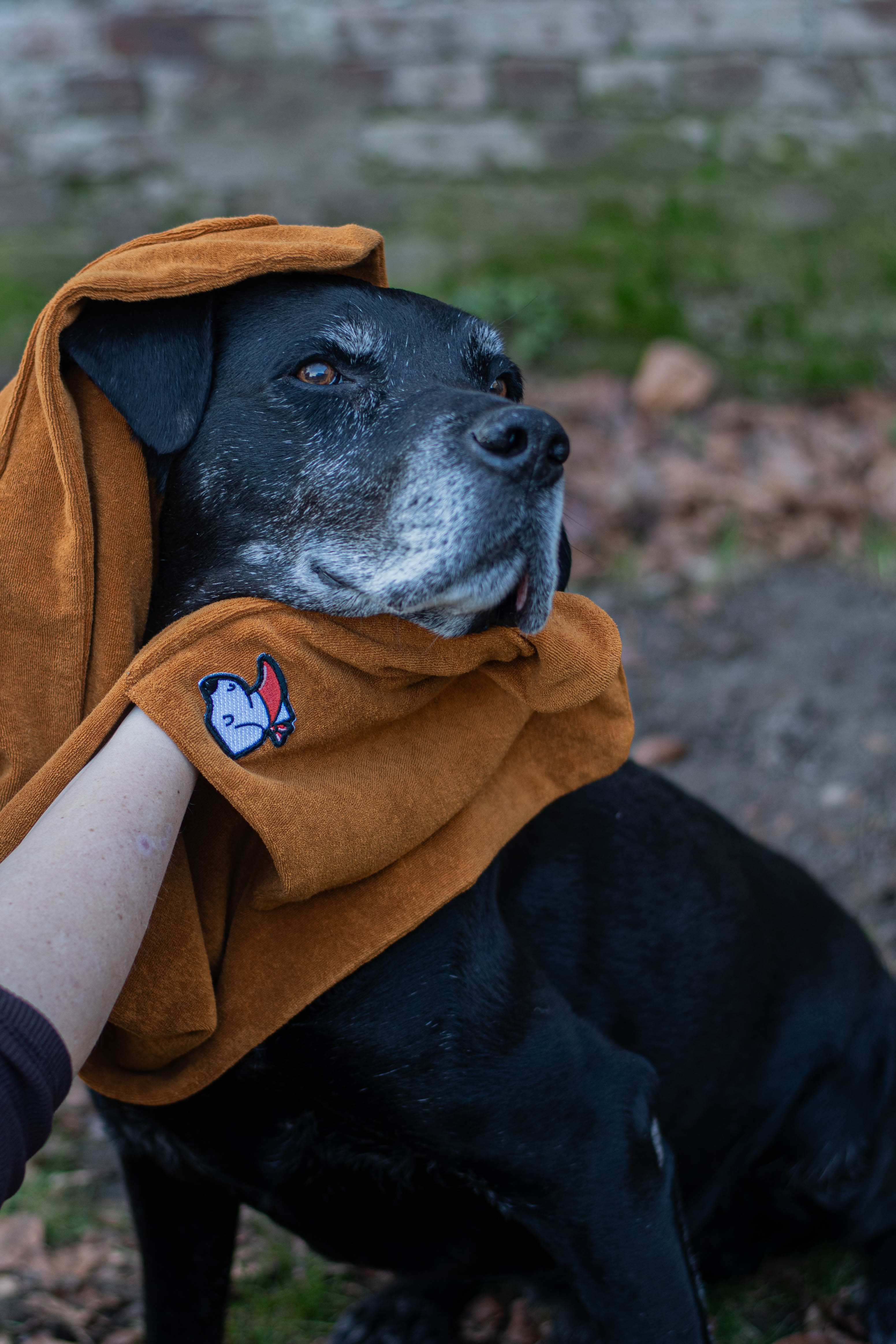 Honddoek – Submarine Yellow