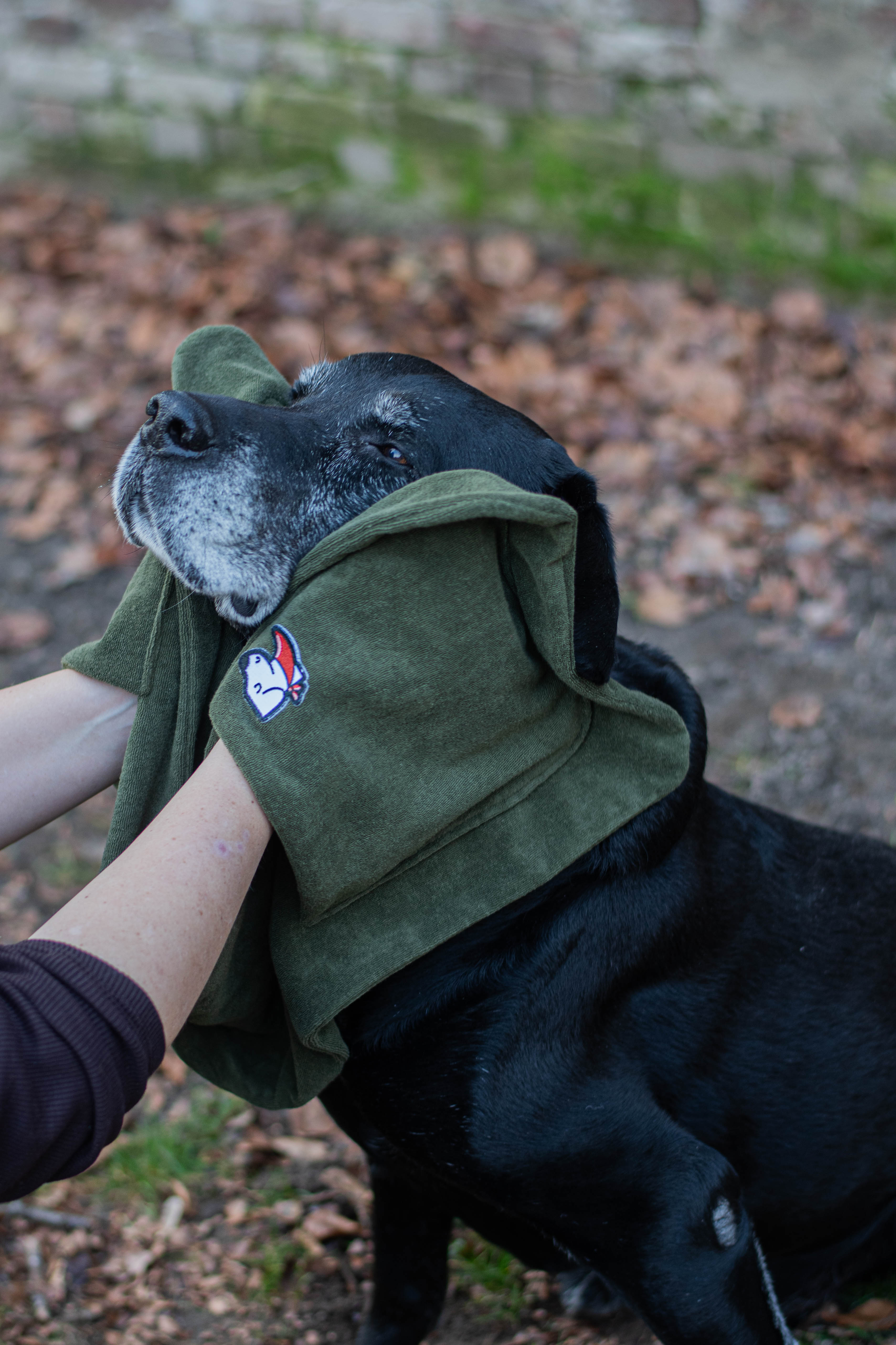 Honddoek – Forest Green