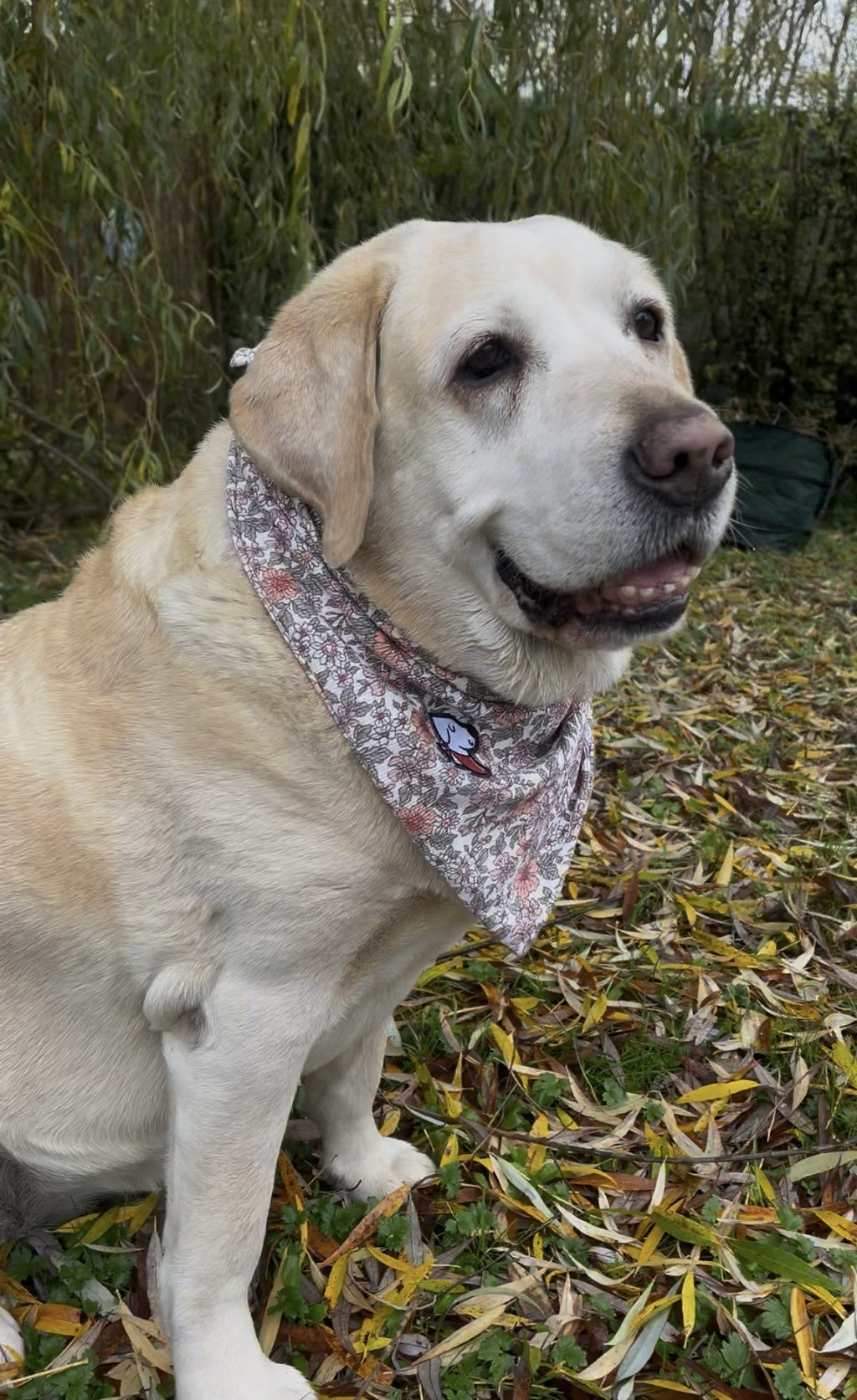Bandana – Grannie