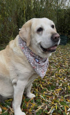 Bandana – Grannie